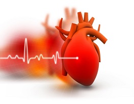 Cardiology 2024