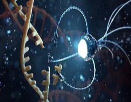 Nanotech 2025