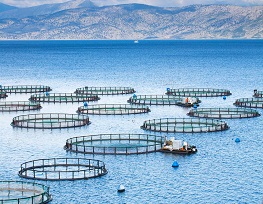 Aquaculture 2026