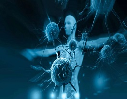 Cancer Research 2026